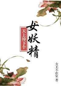 天上掉下个美娇娘讲的是什么