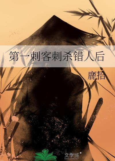 第一刺客女婿完整