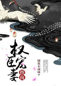 权臣宠妻手册臣年晋江