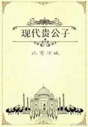 现代贵公子txt