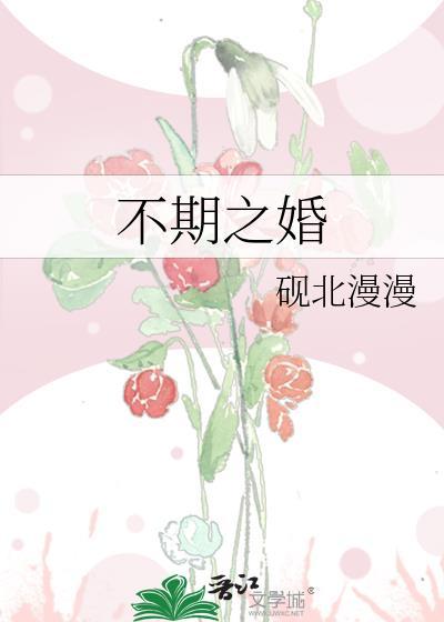 不期之婚砚北漫漫