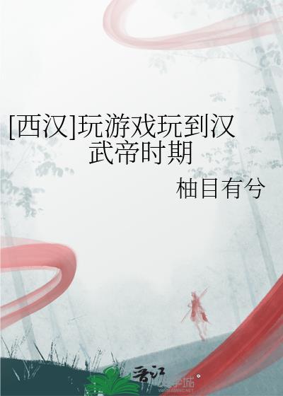 玩到汉武帝时期TXT