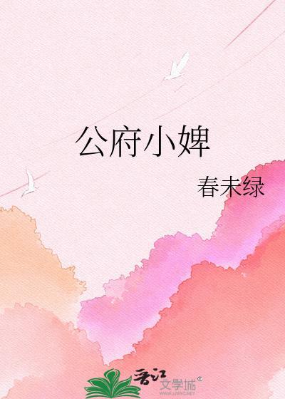 国公府小丫鬟