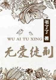 无爱徒刑 书了了 txt