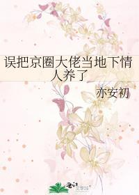 我把京圈大佬当司机
