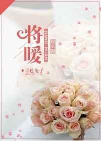 娱乐圈暖宝来袭