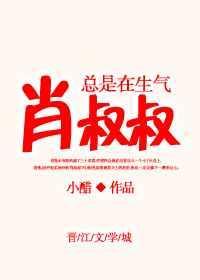 肖叔叔11