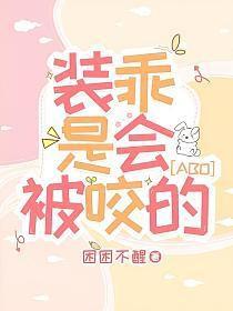 装乖cp