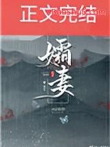 孀妇全文免费阅读