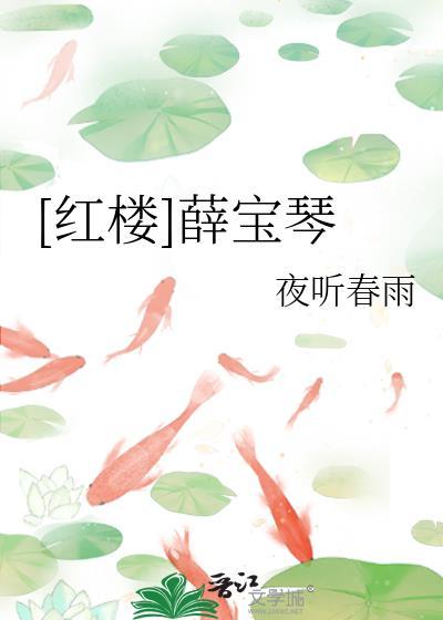 红楼梦薛宝琴