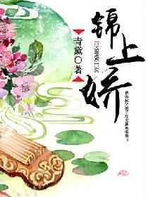 锦上娇免费阅读