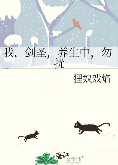 我的剑圣