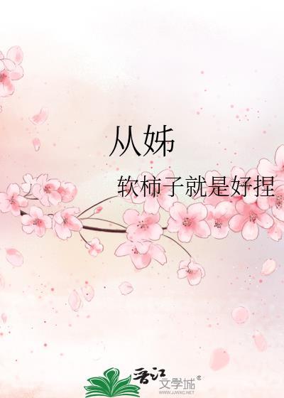 从姊软柿子