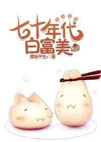 年代文七十年代白富美