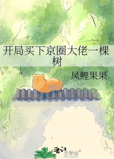 开局买了一座城