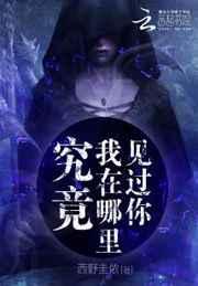在哪里见过你 歌词