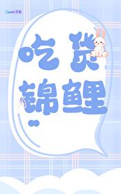 锦鲤鲤的全部