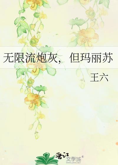 但玛丽苏 作者王六