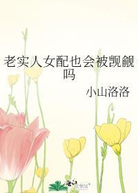 老实人女配也会被觊觎吗by小山洛洛