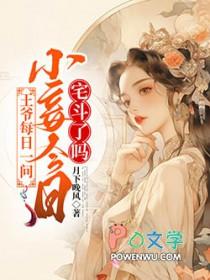 九重锦是什么意思