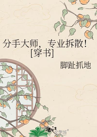 分手大师讲的什么意思