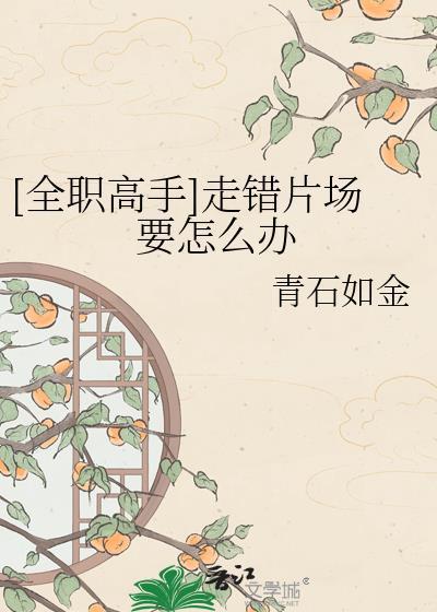 全职高手走错片场要怎么办