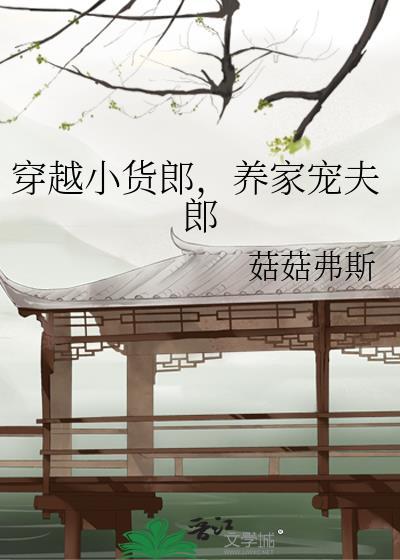 穿越小货郎养家宠夫郎txt