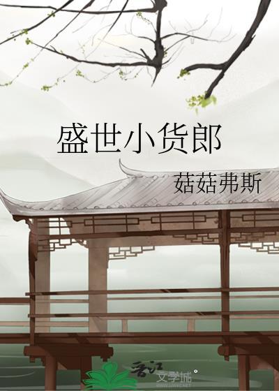 盛世小货郎TXT在线阅读