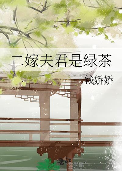 二嫁夫君是绿茶最新章节更新时间