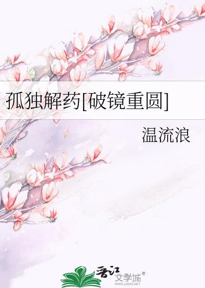 孤独解药在线阅读