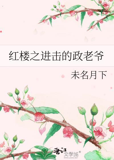 红楼之贾政