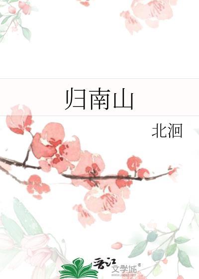 归南山北洄