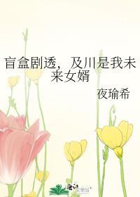 及川彻个人信息