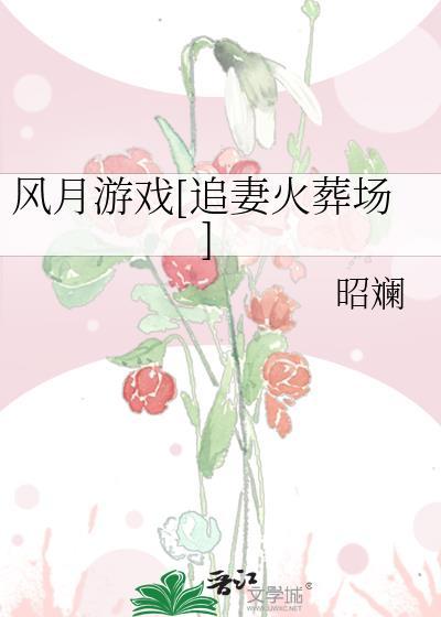 风月追击