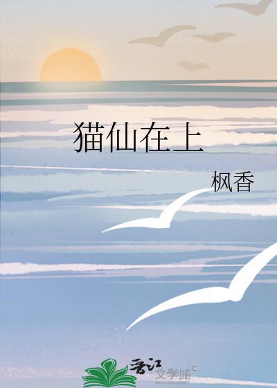 猫仙札进什么