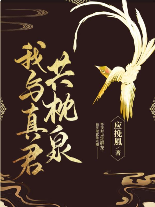 我与真君解战袍txt