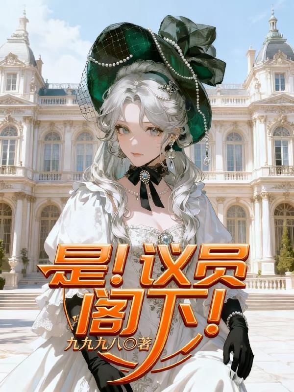 议员可以竞选总统吗