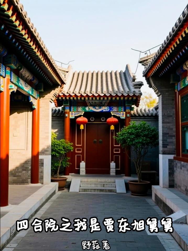 四合院贾东旭亲戚的