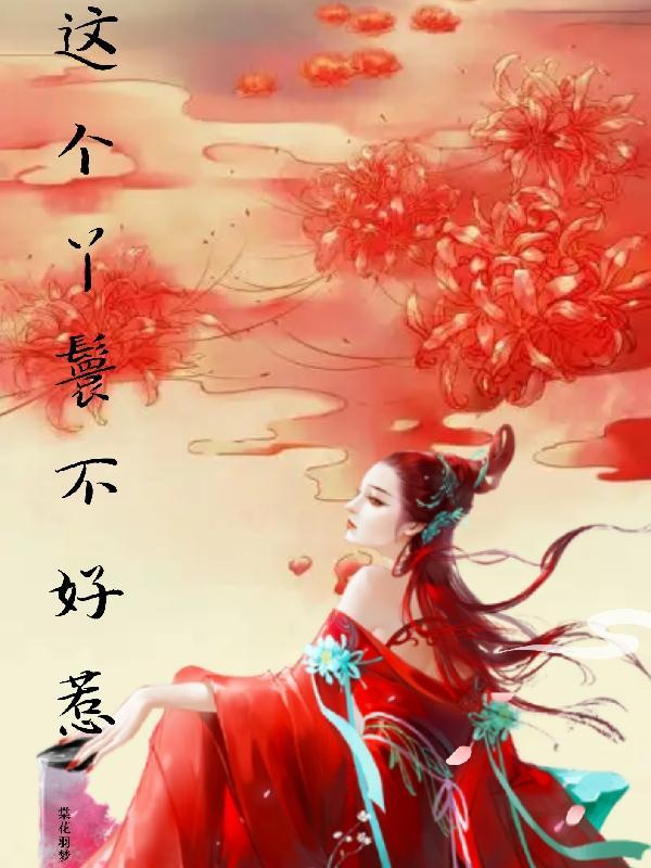 这个丫鬟我用不起电视剧