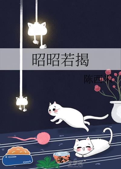 昭昭若揭陈西米全本txt