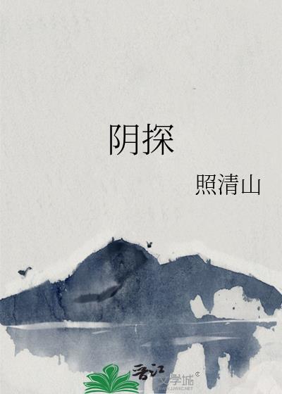 阴探诡事原著