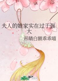 夫人的娘家实在过于强大免费阅读