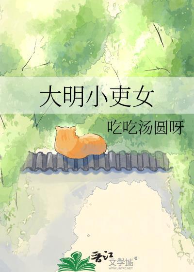 吃吃汤圆呀大明小吏女