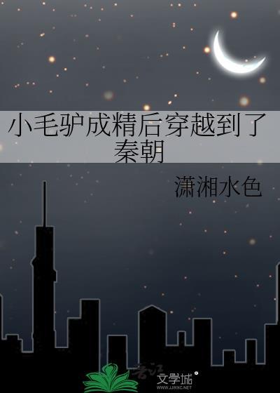 小毛驴精选