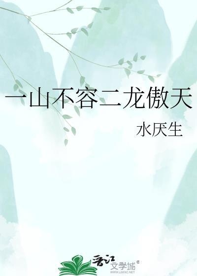 一山不容二龙傲天by水厌生