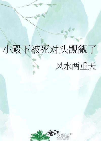 小殿下他脑子有坑讲的是什么