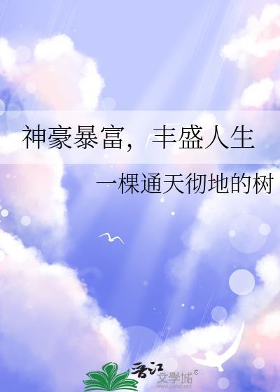 丰盛人生百度