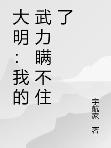 我的大明武德充沛