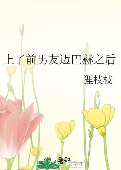 上前男友迈巴赫狸枝枝