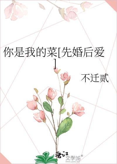 你是我的菜先婚后爱笔趣阁